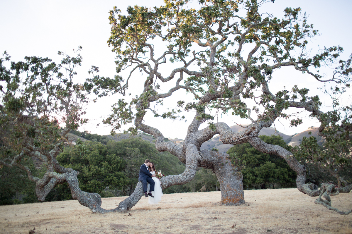 Holman Ranch Wedding // San Francisco Wedding Photographer // Olivia Richards Photography