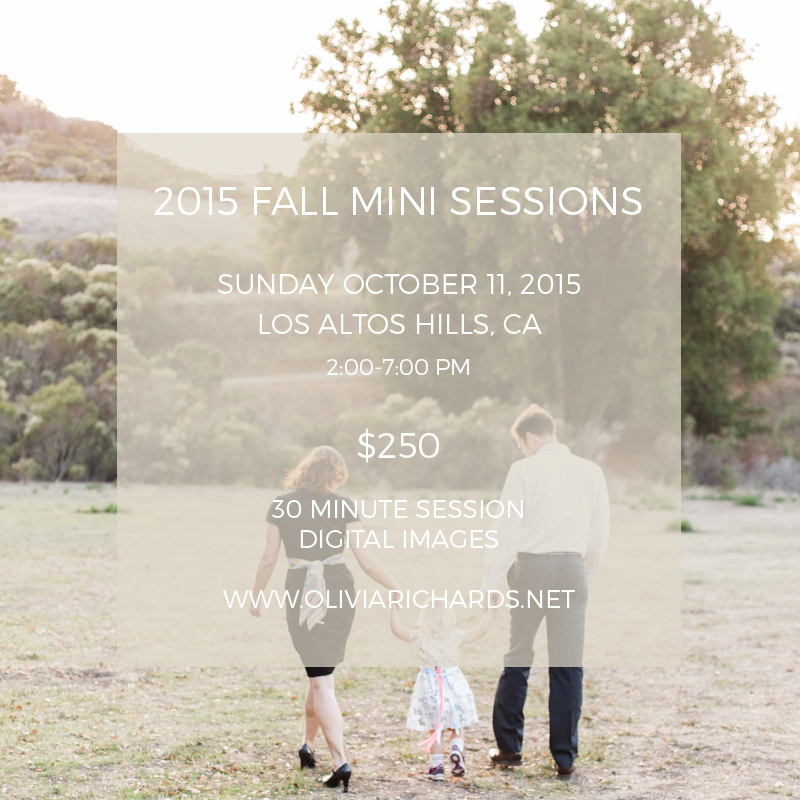 Bay Area Fall Mini Sessions 2015 // Olivia Richards Photography