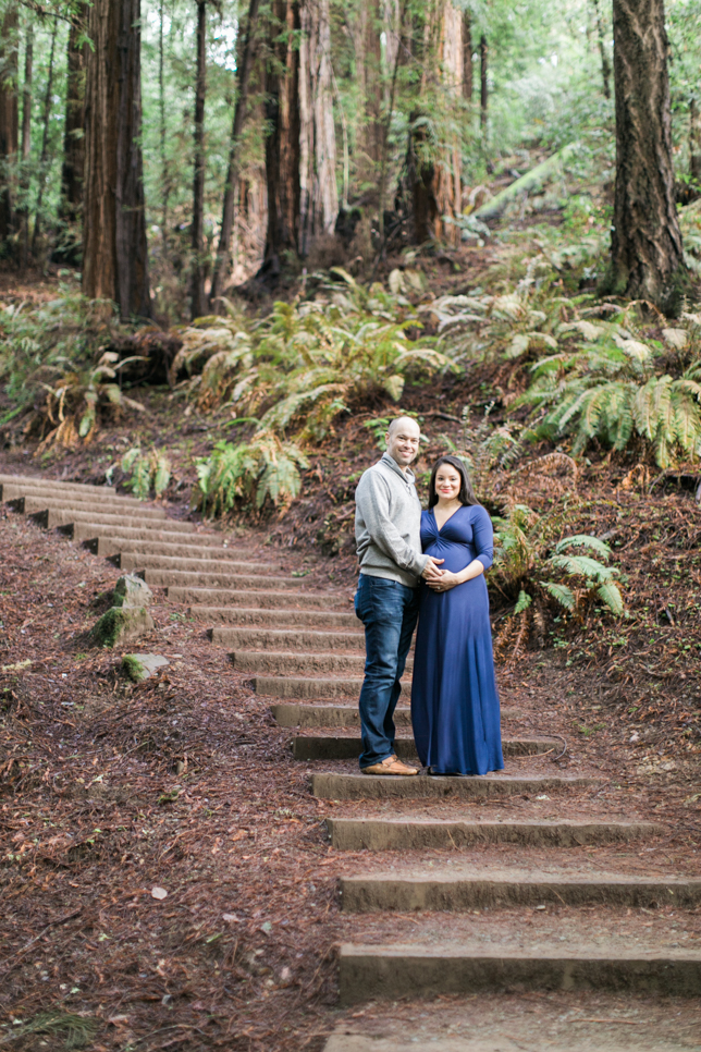 muir+woods+maternity+photo+session-18