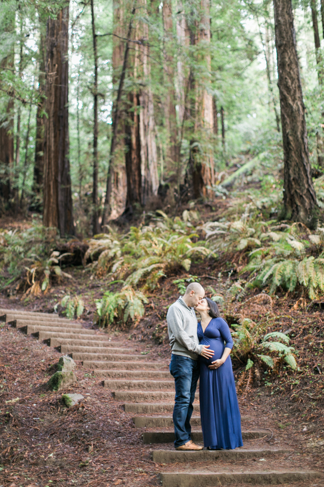 muir+woods+maternity+photo+session-19