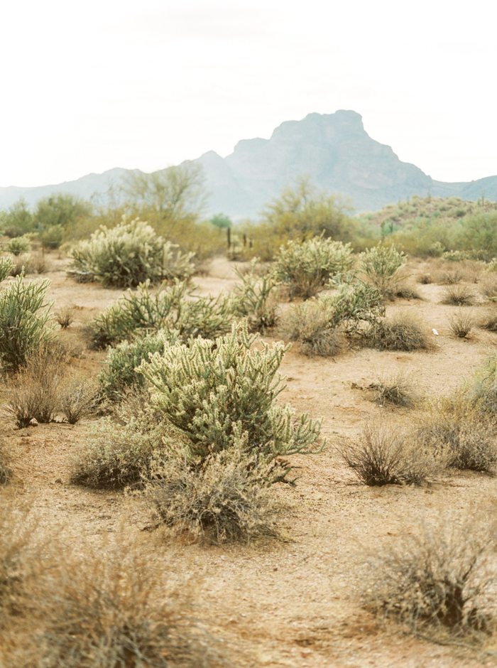  Arizona Desert Elopement // Saquaro Lake // Olivia Richards Photography 